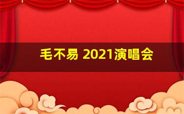 毛不易 2021演唱会